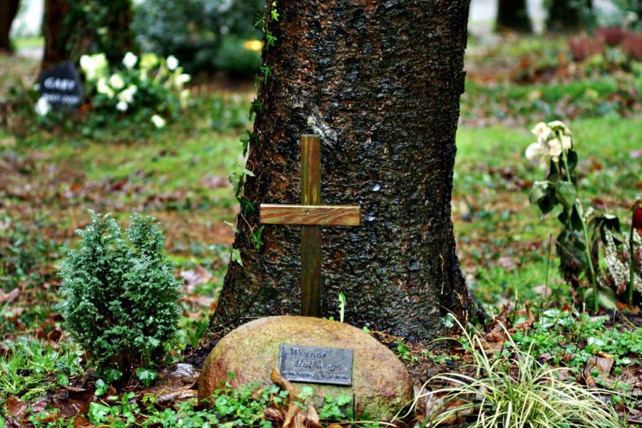 natural burial ground